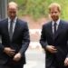Ç’po ndodh me William dhe Harry? Morën pjesë në funeralin e xhaxhait por…