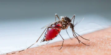 Rikthehen “Ethet e Nilit” në Shqipëri, raportohen tre viktima dhe 17 të infektuar