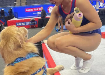 Njihuni me Beacon, qeni “hero” që po ndihmon garuesit në Paris të menaxhojnë stresin