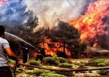 E pazakontë! 44-vjeçarja ndizte zjarre qëllimisht, arsyeja do iu habisë