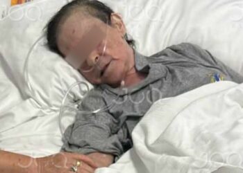 Vrasja/ Viktima dhunohej vazhdimisht nga burri, e fali por përfundimi ishte tragjik