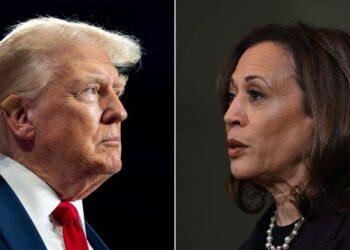 Donald Trump “puthet” me Kamala Harris, fotoja që po bën xhiron e rrjetit