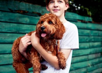 A mund të sëmuren njerëzit nga qentë?