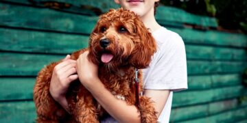 A mund të sëmuren njerëzit nga qentë?