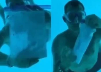 Momenti i propozimit