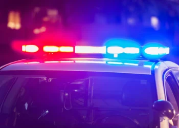 Tragjike/ U sulmua nga qentë e shtëpisë, ndërron jetë 9-vjeçarja