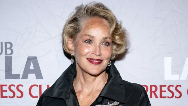 Me sy të nxirrë, Sharon Stone shqetëson fansat me fotot e fundit, ja çfarë i ndodhi
