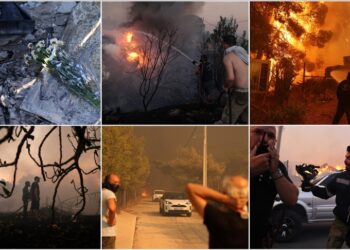 Katastrofa ambientale: Athina humbi 37% të pyjeve nga zjarri për 8 vjet!