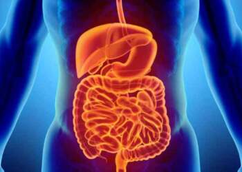 Shëndeti i aparatit tretës thëlbësor! Zakonet për ta shëruar atë