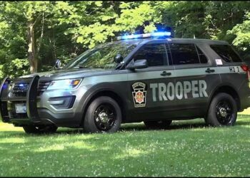 Rrahu brutalisht nënën e tij/ Dënohet deri në 40 vjet burg i riu