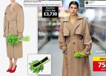 Moschino shkakton zhurmë me një “çantë selinoje” mijëra dollarëshe