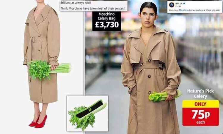 Moschino shkakton zhurmë me një “çantë selinoje” mijëra dollarëshe