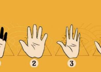 Zbuloni tiparet e karakterit tuaj në bazë të formës së duarve