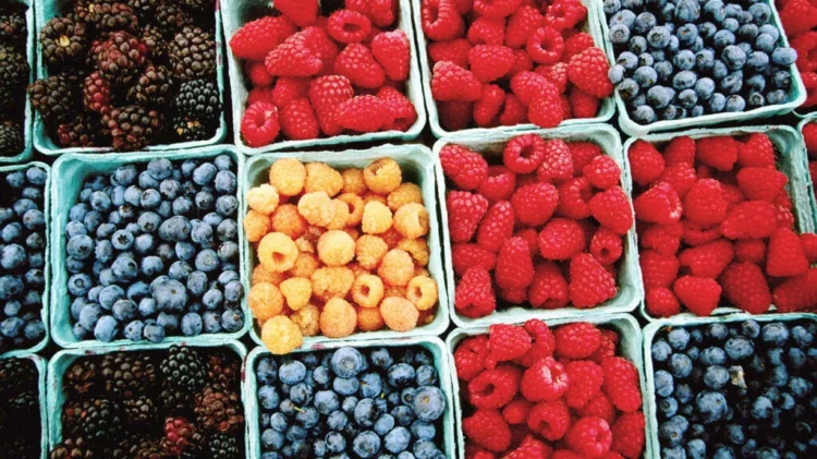 Frutat që mund të jenë të dobishme gjatë dhe pas trajtimit të kancerit