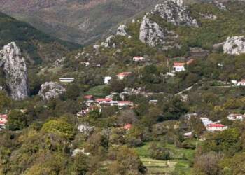 E pazakontë në Maliq! Babai qëllon me thikë të birin: S’vinte në shkollë!