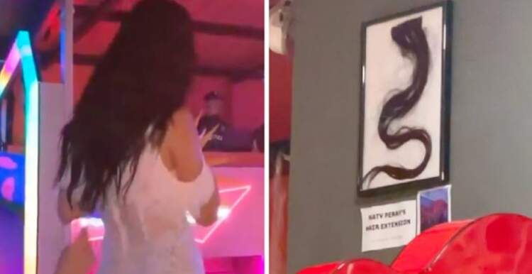 E pazakontë/ Fansja i heq flokët Katy Perry-t dhe ia vendos në kornizë