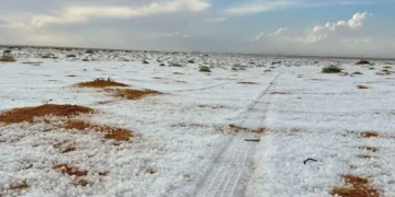 Historike! Bie për herë të parë borë në shkretëtirën e Arabisë Saudite