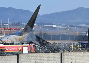 Tragjike në Korenë e Jugut/ Aeroplani përplaset në aeroport, 120 viktima