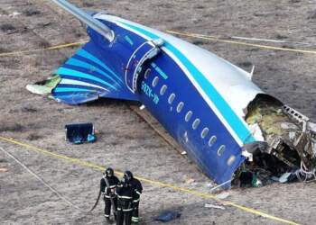 U tha se u godit nga një shpend dhe ra, si qëndron e vërteta e rrëzimit të avionit?