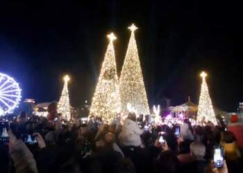 Atmosferë festive në Tiranë, ndizen dritat e 5 bredhave në sheshin Skënderbej