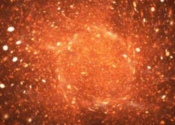 Katër shenjat e horoskopit që do të jenë më të favorizuarat e 2025