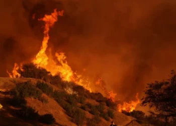 Zjarret në LA, shkon në 16 numri i viktimave