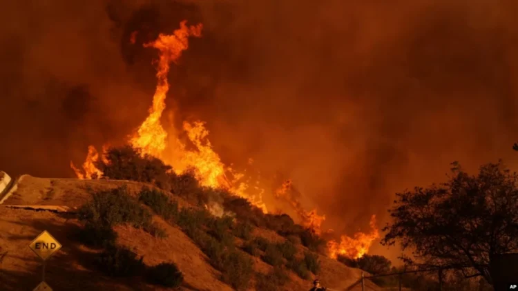 Zjarret në LA, shkon në 16 numri i viktimave