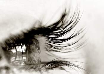 Studimi: Gjithçka që shikojmë në të vërtetë ka ndodhur 15 sekonda më parë