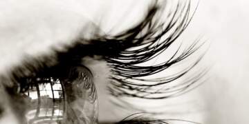 Studimi: Gjithçka që shikojmë në të vërtetë ka ndodhur 15 sekonda më parë