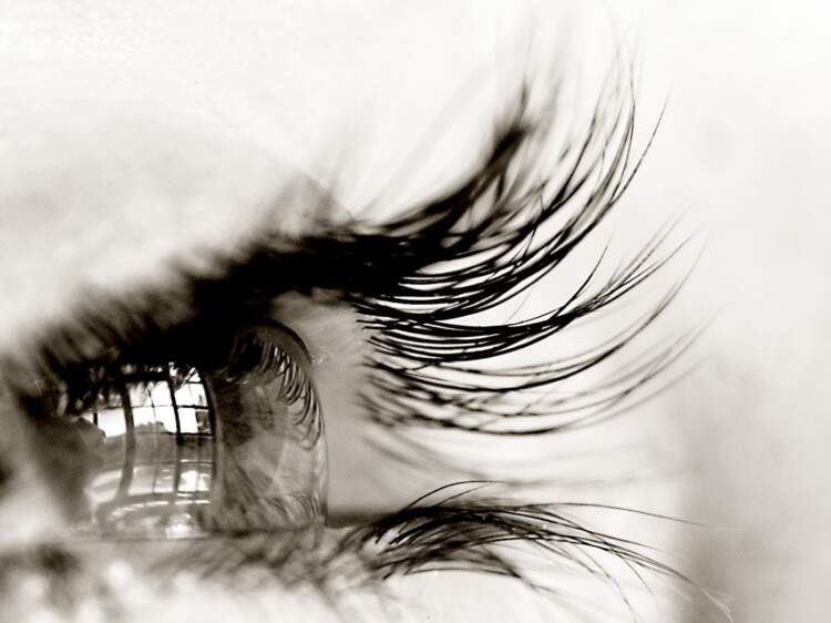 Studimi: Gjithçka që shikojmë në të vërtetë ka ndodhur 15 sekonda më parë