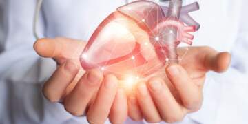 A dashuron më të njëjtin njeri dikush që bën transplant zemre?