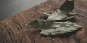 Pse duhet të vendosni gjethe dafine në lavatriçe