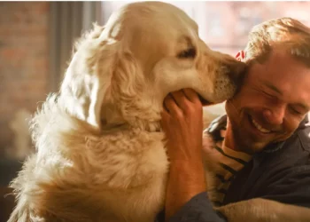 Në këtë aeroport, një qen qetëson pasagjerët e stresuar para fluturimit të tyre