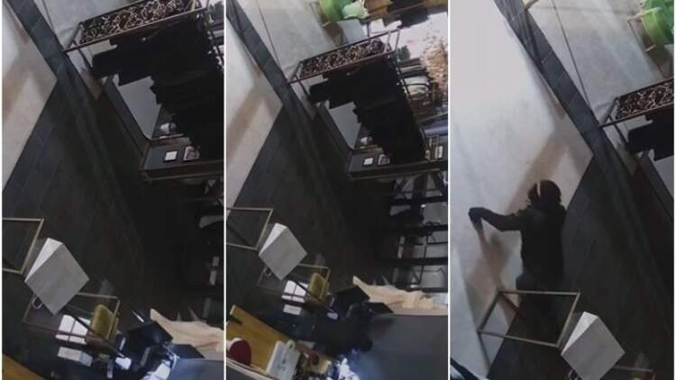 Stilistja e njohur shqiptare bie pre e grabitjes, publikon pamjet në rrjetet sociale