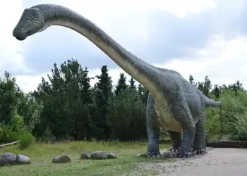 Zbulohet ‘Titani i kripës’: Gjiganti që eci në Tokë miliona vite më parë