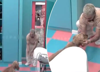 Kaq ishte! Merr fund loja e rezistencës për “faj” të Gjestit!