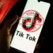 Të këqijat që i ka sjellë TikTok-u Shqipërisë