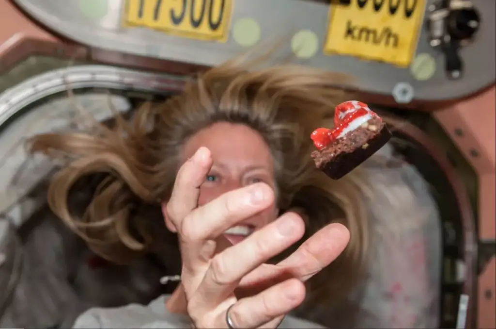 Çfarë hëngrën astronautët për kaq shumë muaj të bllokuar në Hapësirë?