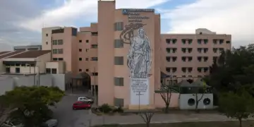 9-vjeçari në gjendje kritike pasi u mbyt teksa hante një portokalle në shkollë!