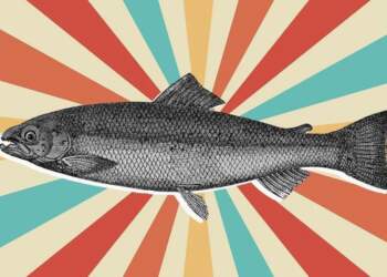 Spermë salmoni për lëkurën- trendi që po bën namin në botën e bukurisë