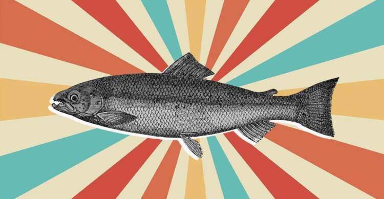 Spermë salmoni për lëkurën- trendi që po bën namin në botën e bukurisë