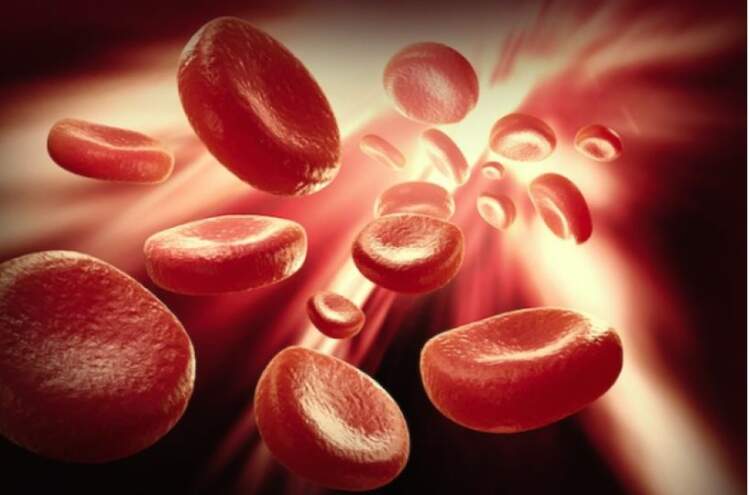 Dita Botërore e Hemofilisë/Ndërgjegjësim për një sëmundje të rrallë