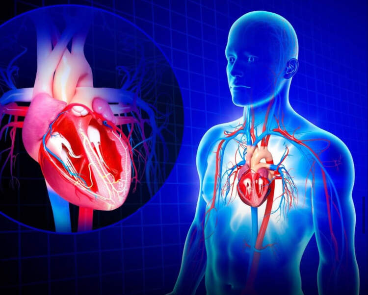 Mrekulli mjekësore: Zemër artificiale për një 7-vjeçar