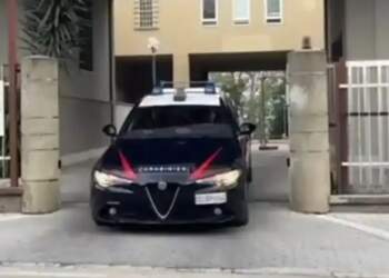 Itali/ Gjendet e lidhur pa shenja jete në një pemë 27-vjeçarja shqiptare