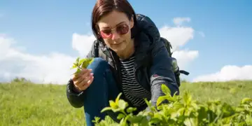 Sëmundja e Alzheimerit: bari që forcon mendjen dhe kujtesën