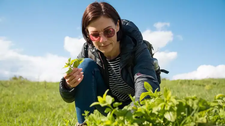 Sëmundja e Alzheimerit: bari që forcon mendjen dhe kujtesën