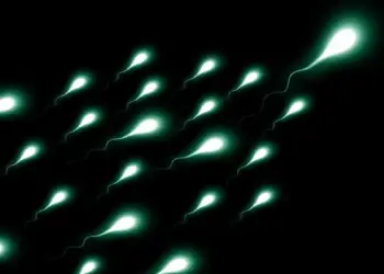 Çmim prej 1 milion dollarësh! Në SHBA do zhvillohet gara me spermatozoidë
