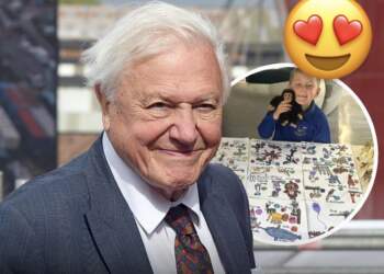 Një dhuratë nga zemra: 5-vjeçari vizaton 99 kafshë për ditëlindjen e Attenborough