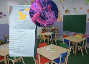 Salmonela në menunë e kopshtit? Të paktën 72 fëmijë me shenja helmimi në Gramsh