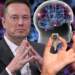 Musk: Implanti i parë në tru për rikthimin e shikimit te të verbrit vjen brenda 2025